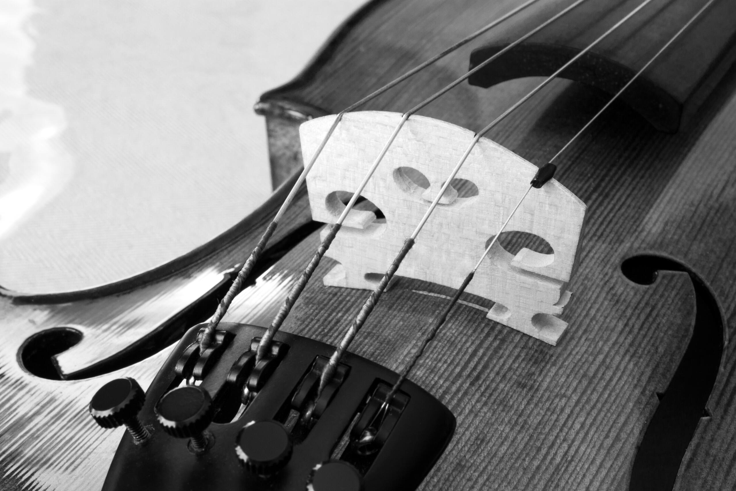 Black and white photo of a violin