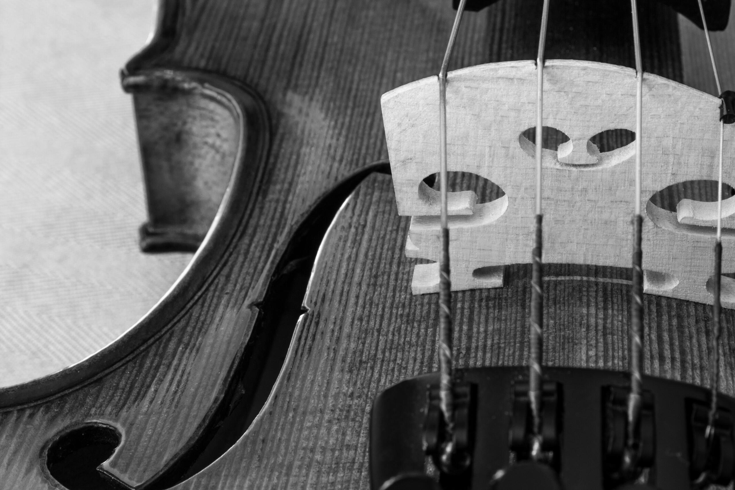 Black and white photo of a violin